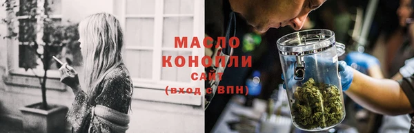 сатива Аркадак