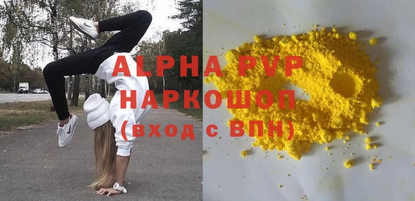 сатива Аркадак