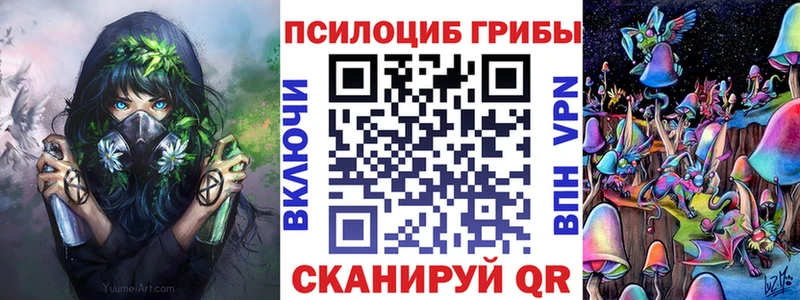 Галлюциногенные грибы Psilocybine cubensis  Дыгулыбгей 